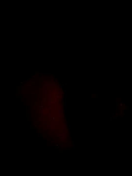 juanjonac online show from May 18, 2026, 2:29 am