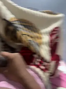 KEVINJayasin online show from June 18, 2026, 7:29 pm