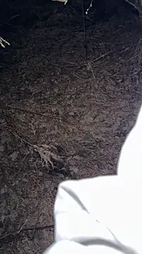 salfetka sex online show from March 23, 2026, 5:17 pm