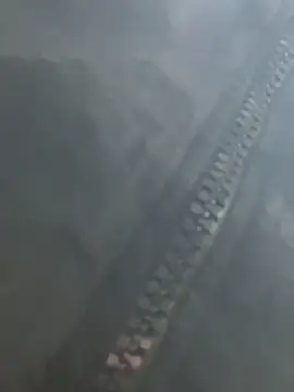 Bona68 online show from February 23, 2026, 2:42 am