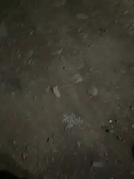 Snapshot of parth73637 chatting on February 23, 2026, 2:47 pm parth73637 online show from February 23, 2026, 2:47 pm