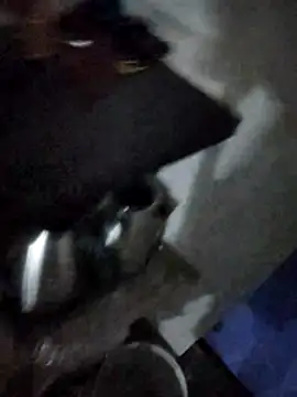 Snapshot of magicmovemen chatting on March 3, 2026, 11:10 pm magicmovemen online show from March 3, 2026, 11:10 pm