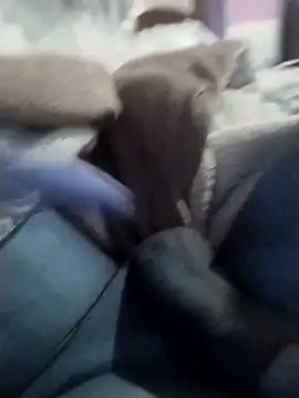 casal spzl online show from March 10, 2026, 4:12 pm