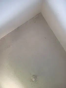 priscilaf online show from April 19, 2026, 11:53 am