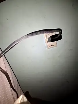 wolf297 online show from February 28, 2026, 11:44 am