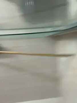 David-latinlover online show from March 29, 2026, 10:43 pm