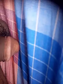 Ambala1 online show from April 21, 2026, 7:36 am