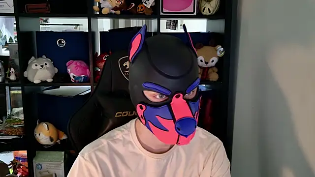 MellPUP online show from June 11, 2026, 6:28 pm