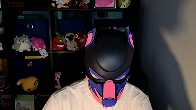 MellPUP online show from June 19, 2026, 11:58 am