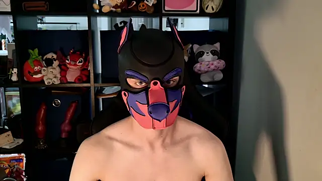 MellPUP online show from July 14, 2026, 6:13 pm
