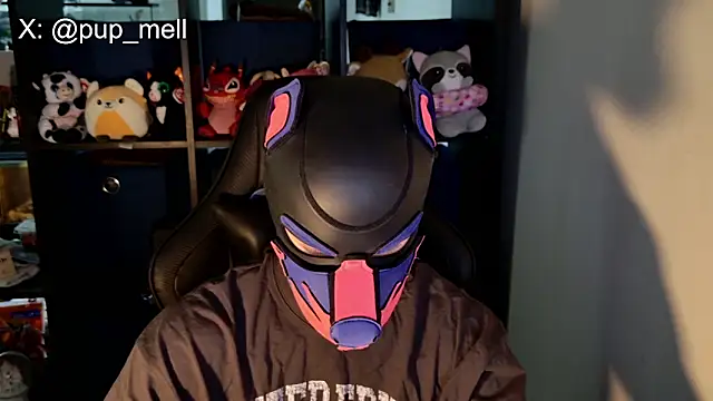 MellPUP online show from August 4, 2026, 3:36 pm