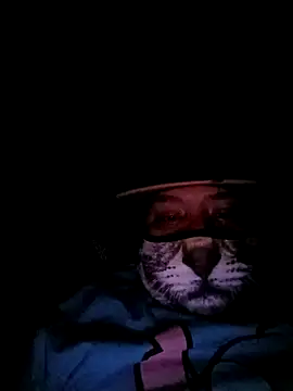 Charlygunslove online show from March 3, 2026, 1:34 am