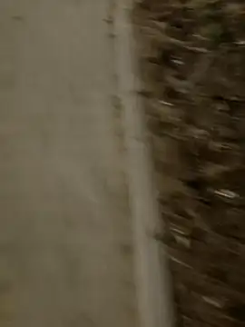 Snapshot of MarekPublicShow chatting on March 3, 2026, 9:42 pm MarekPublicShow online show from March 3, 2026, 9:42 pm