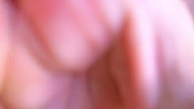 Jimmy Doss online show from April 25, 2026, 7:00 am