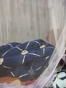 mylove-cute online show from April 2, 2026, 10:51 pm