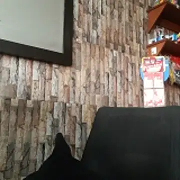 jhosuamoore online show from March 24, 2026, 7:52 pm