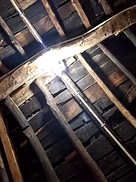 Alge882 online show from April 5, 2026, 12:19 am