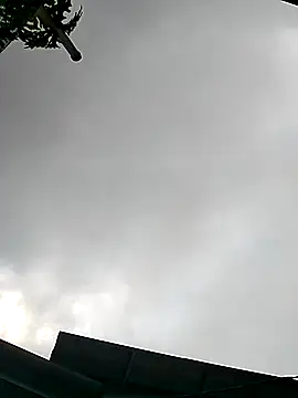 Snapshot of Cute-flowers chatting on March 21, 2026, 2:38 am Cute-flowers online show from March 21, 2026, 2:38 am