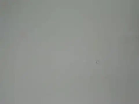 Aliciaa Diamond online show from March 25, 2026, 8:26 pm