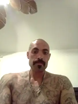 Snapshot of wesstfine chatting on May 19, 2026, 4:41 am wesstfine online show from May 19, 2026, 4:41 am