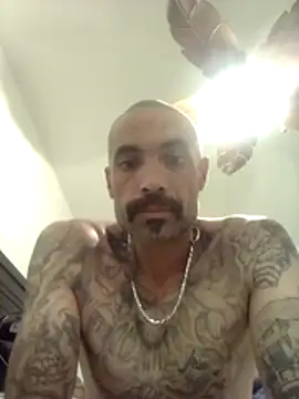Snapshot of wesstfine chatting on May 21, 2026, 7:21 pm wesstfine online show from May 21, 2026, 7:21 pm
