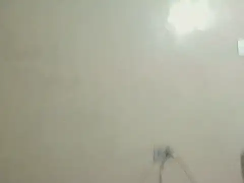 User 02  online show from July 15, 2026, 2:06 am