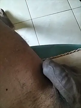 wildguy27 online show from April 10, 2026, 7:57 am