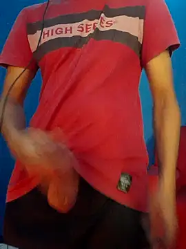 NovinhoTopBrasil online show from April 3, 2026, 1:42 pm