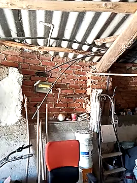 Snapshot of mecaloco chatting on April 5, 2026, 11:29 am mecaloco online show from April 5, 2026, 11:29 am