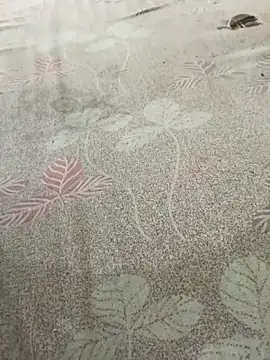 Snapshot of pujaji098 chatting on April 13, 2026, 4:07 am pujaji098 online show from April 13, 2026, 4:07 am