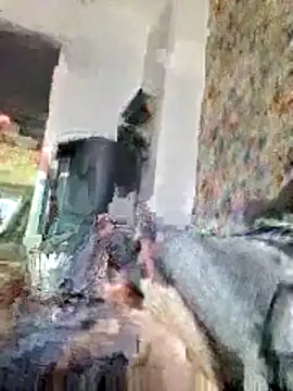 bellequeue147 online show from April 21, 2026, 10:54 am