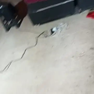  - - putinha -  online show from April 24, 2026, 11:23 am