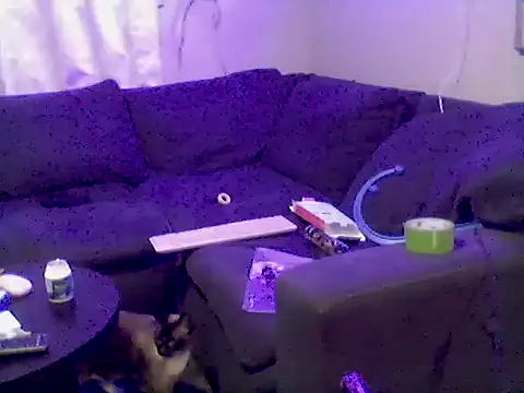 Pbluntz90 online show from July 23, 2026, 2:42 am