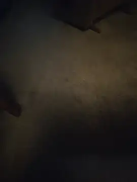 the Milk Man online show from July 6, 2026, 2:52 am