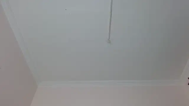 Snapshot of amara_sanchez chatting on July 8, 2026, 1:04 pm amara sanchez online show from July 8, 2026, 1:04 pm