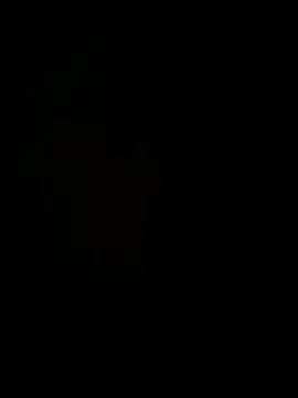 hook9sex online show from June 11, 2026, 4:54 am