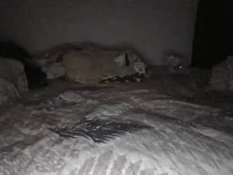 bscc online show from January 31, 2025, 12:07 pm