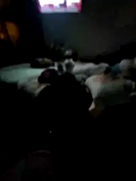 Snapshot of juliopantoja chatting on February 15, 2026, 5:04 am juliopantoja online show from February 15, 2026, 5:04 am