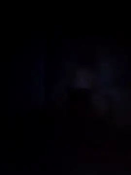 Snapshot of Biknight chatting on December 12, 2024, 4:04 am Biknight online show from December 12, 2024, 4:04 am