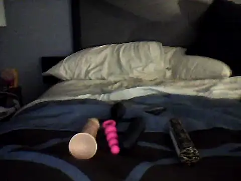 Snapshot of Biknight chatting on December 15, 2024, 6:29 am Biknight online show from December 15, 2024, 6:29 am