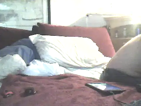 Snapshot of Biknight chatting on February 19, 2025, 5:38 pm Biknight online show from February 19, 2025, 5:38 pm