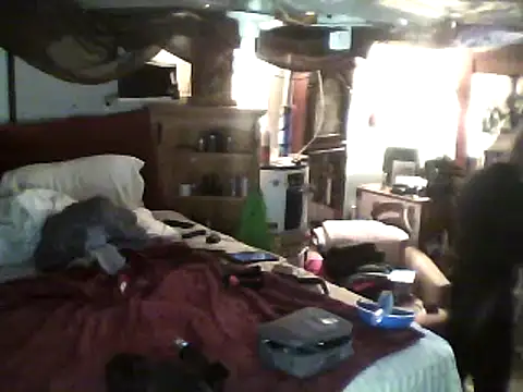 Snapshot of Biknight chatting on February 24, 2025, 5:53 pm Biknight online show from February 24, 2025, 5:53 pm