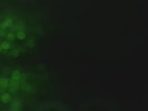 Snapshot of lonelycock33 chatting on November 7, 2025, 9:48 pm lonelycock33 online show from November 7, 2025, 9:48 pm