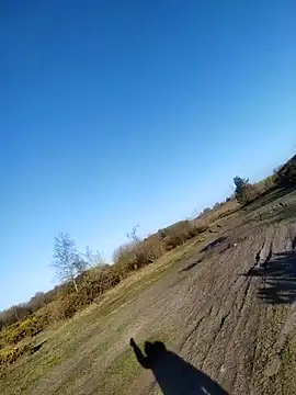 Muzz 2020 online show from April 10, 2026, 6:51 am