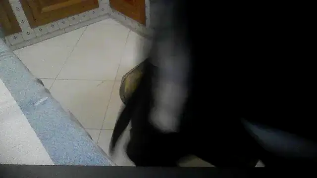 Snapshot of polloiw chatting on October 18, 2025, 7:36 pm polloiw online show from October 18, 2025, 7:36 pm