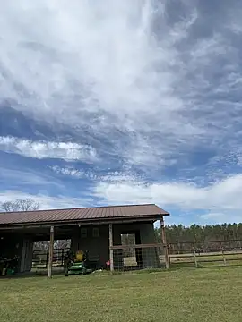 Sitonmyface2020xh online show from March 3, 2025, 3:53 pm