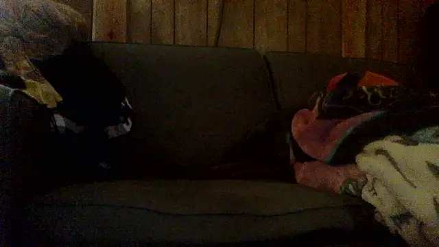 Snapshot of Ryoko_Momoko chatting on November 1, 2025, 2:46 am Ryoko Momoko online show from November 1, 2025, 2:46 am