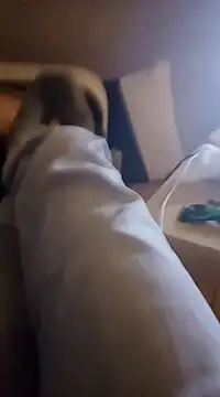 Snapshot of InMeinenMund chatting on January 13, 2025, 2:39 am InMeinenMund online show from January 13, 2025, 2:39 am