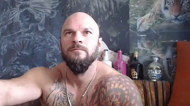 viking 30 online show from October 13, 2025, 7:08 am