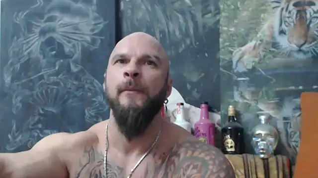 viking 30 online show from November 9, 2025, 8:07 pm